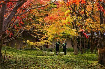 Hoshino Resorts Kai Kinugawa Nikko Eksteriør bilde